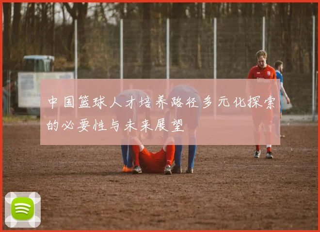 中国篮球人才培养路径多元化探索的必要性与未来展望